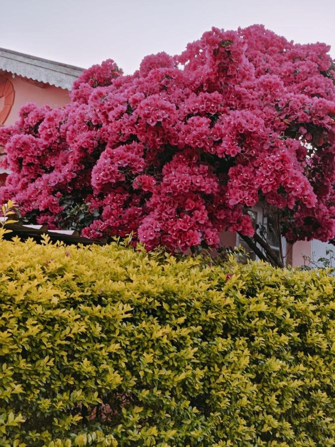 Camellia Heights 1&2 Bed & Breakfast Coonoor Luaran gambar