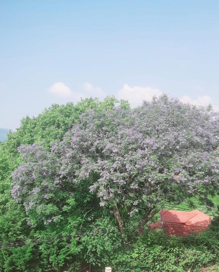 Camellia Heights 1&2 Bed & Breakfast Coonoor Luaran gambar