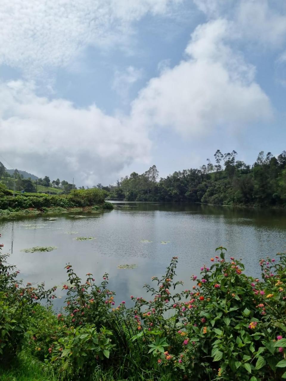 Camellia Heights 1&2 Bed & Breakfast Coonoor Luaran gambar