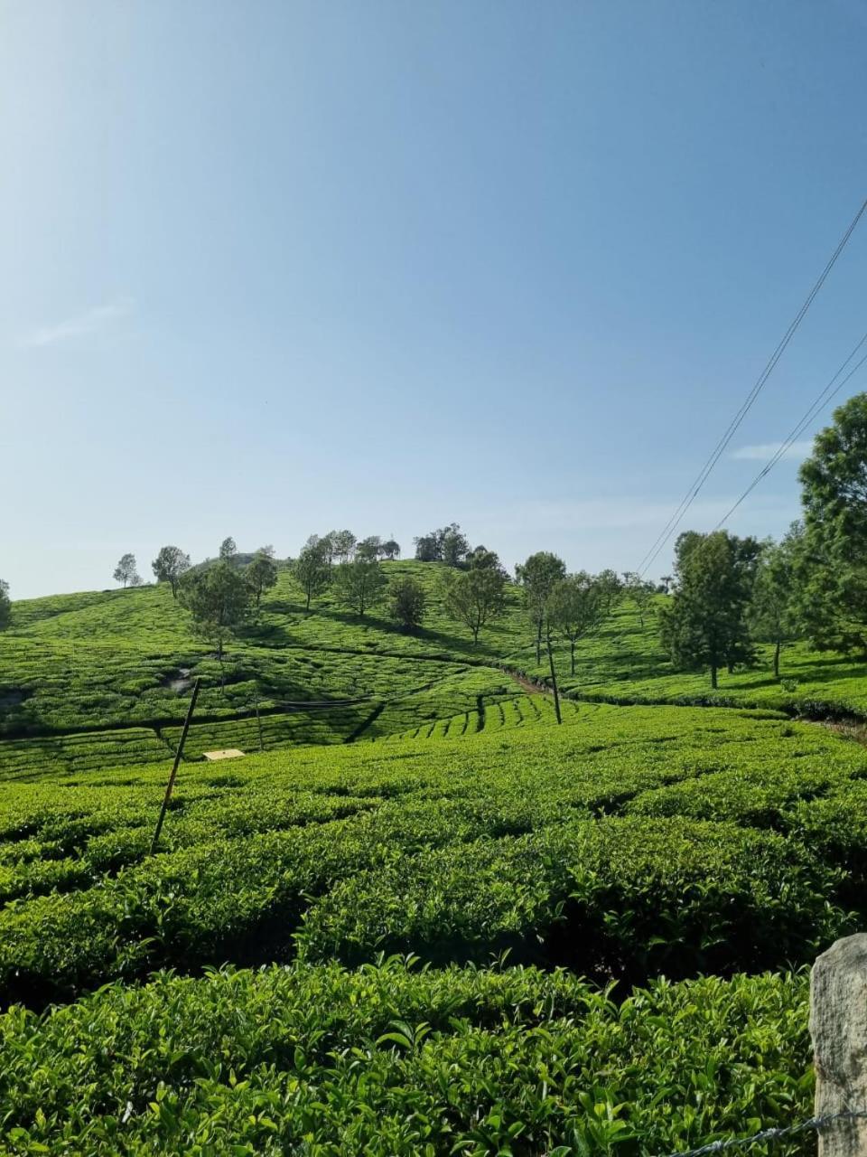 Camellia Heights 1&2 Bed & Breakfast Coonoor Luaran gambar