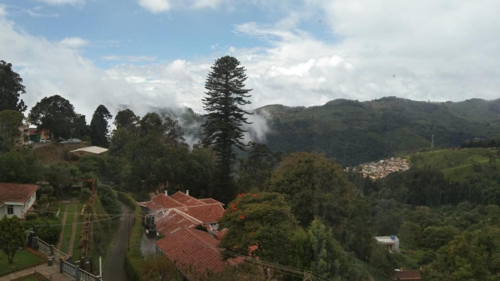 Camellia Heights 1&2 Bed & Breakfast Coonoor Luaran gambar