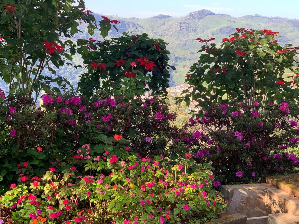 Camellia Heights 1&2 Bed & Breakfast Coonoor Luaran gambar